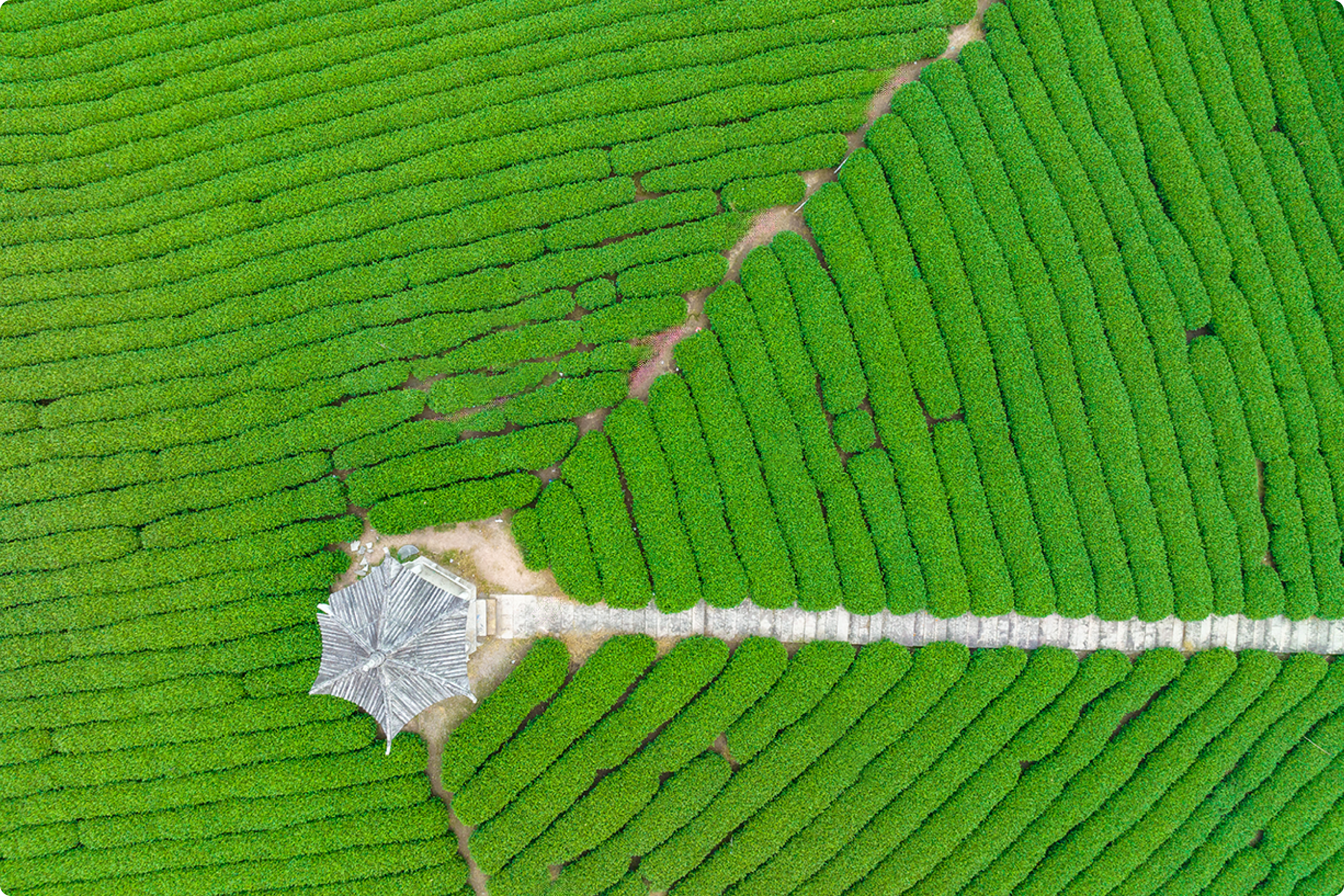 Innovative launch of the “Smart Urban Water Manager” model