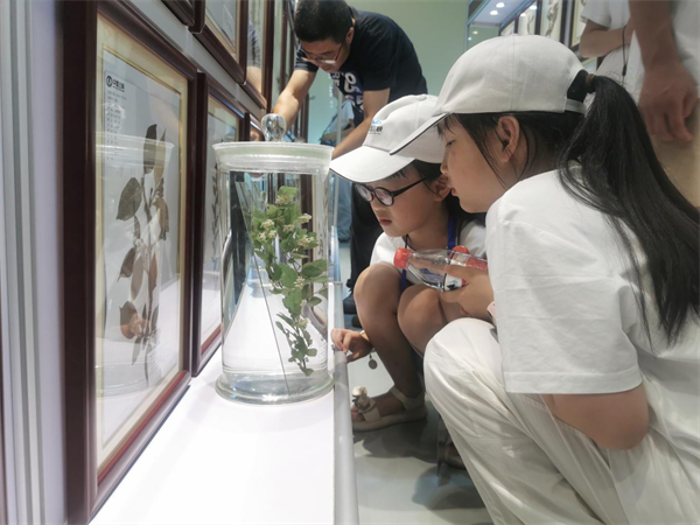 rBABDGTZzNiAM-AMAAAAAAAAAAA144.600x450 rBABDGTZzNiAM-AMAAAAAAAAAAA144.600x450