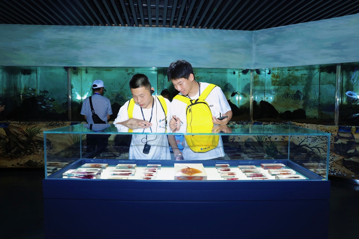 2025年娃娃行活动掠影图片（3）